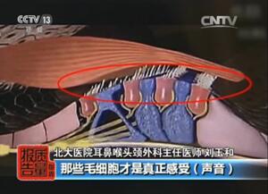 QQ截圖20161227124309.jpg
