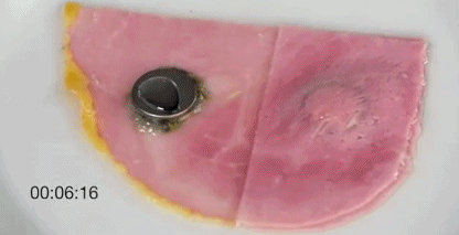 插圖4.gif